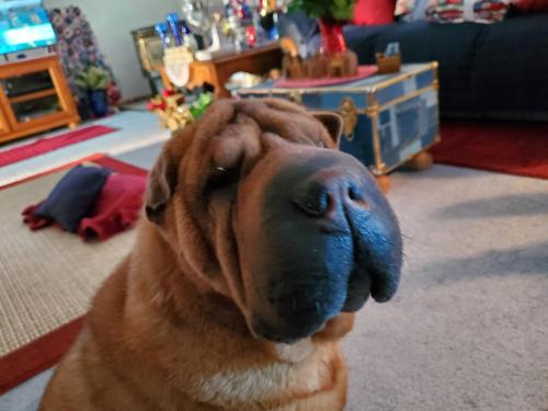 3891e8a9-9f75-4fa9-aff6-d13455ffcbf1