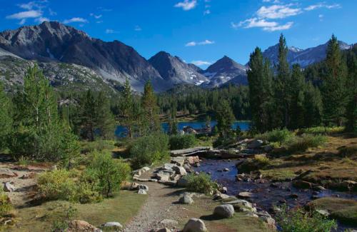 Northern river wilderness