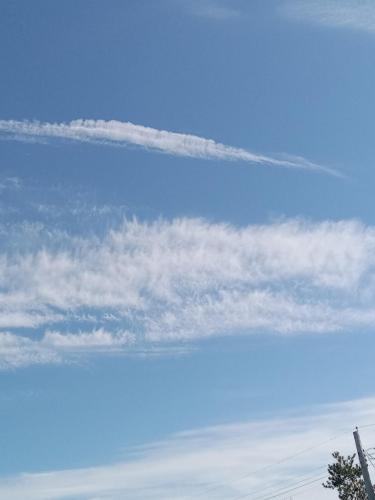 0372ebf0-f265-4009-baf6-280d369daccc