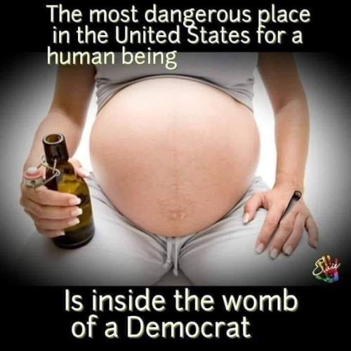 abortion_womb_of_democrat_murder