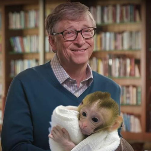 283099131_856732795247058_280945604872994692_n