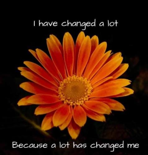 279740630_5529851580372787_7320812953760394302_n