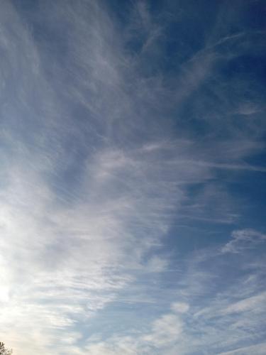 df1b7605-c457-4244-a5c0-a758e058fd8c