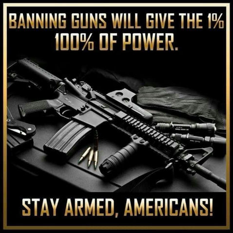 banning guns will give the one percent