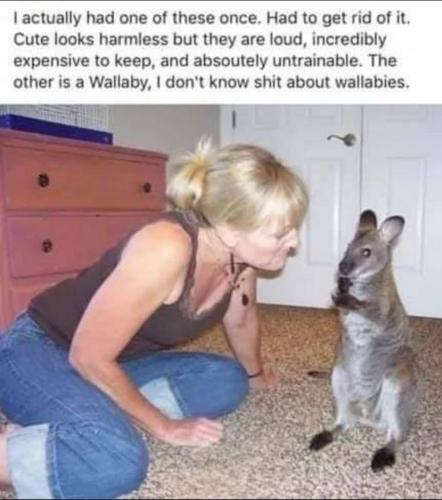 14:47:55 GMT-0400 (EDT)