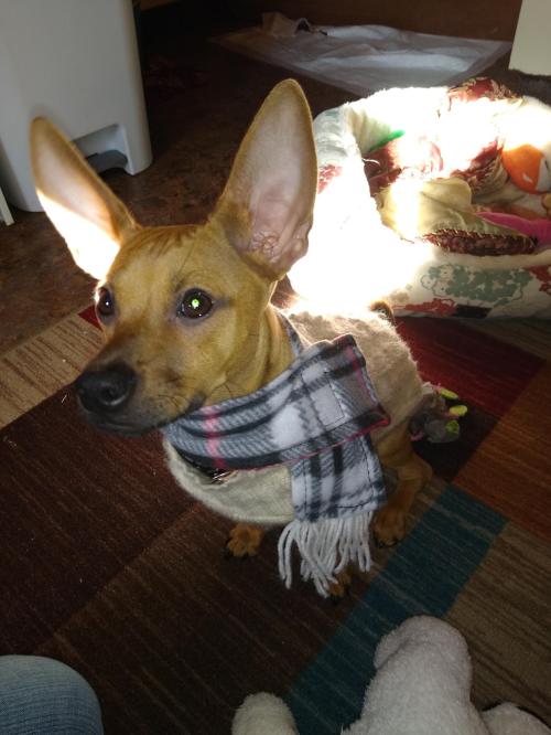 a19ca9f1-541d-40aa-9867-ef869385875d