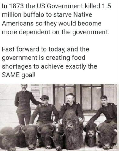 403fdf17-2675-47b6-9662-359c7266208f