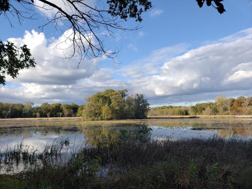 f0d75cbf-be45-4495-854f-47888ce7a3c4