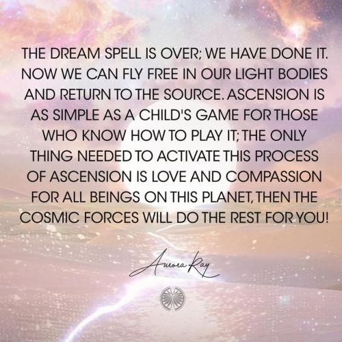 ,                                                                                                                                                                                                                          0 0