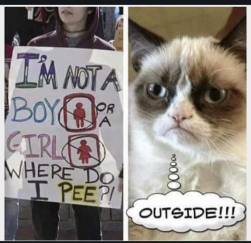 05d39741-6a6f-426e-87f4-a5c10ab665c2