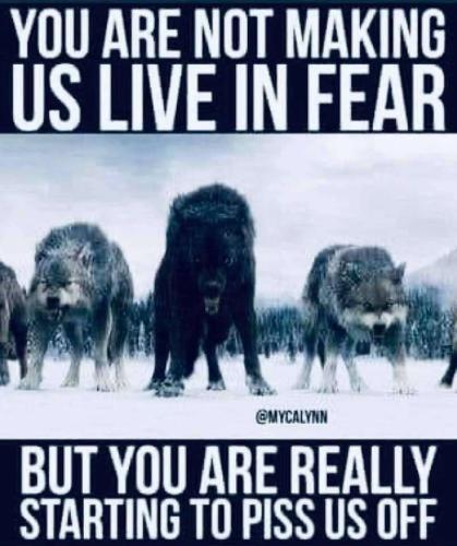 e34447d2-d787-4d9d-b58e-70e143aa9014