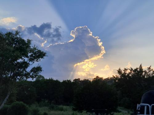 914c6500-e706-42c5-83f5-3107452e91cc