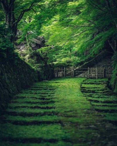 280629972_178238011223649_4616667064906662943_n