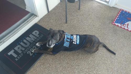 d19b5d5f-143b-4cfd-a2df-0e9027c07242