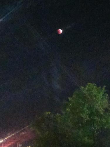 967f8efe-683c-4a5a-957c-1b3b92922a82