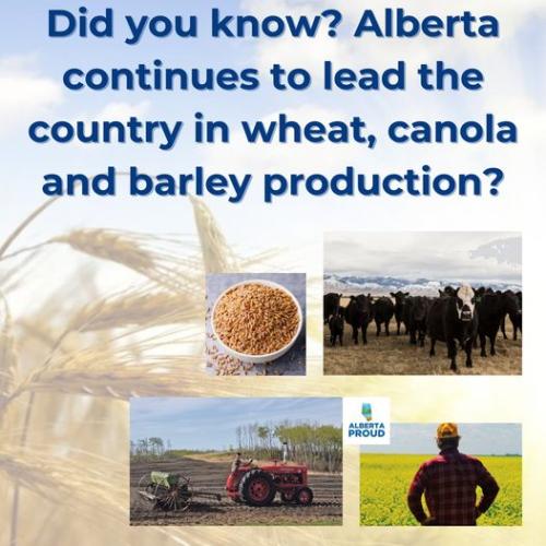 alberta proud
