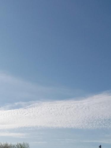 f086b9bc-2533-46e9-a1d6-7d4f1671c13f