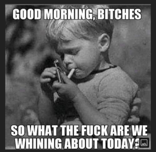 30f7e309-9dab-428d-a4e8-f82457ddfa49