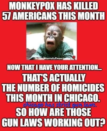 Demon-rats are trying to ban second amendment