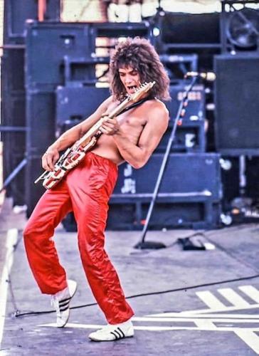 bf04d29ae27730c1319c537cf7e71229