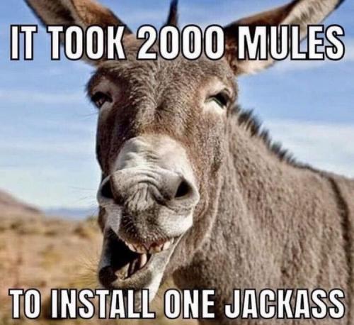 98C70A37-3EEB-4F83-8586-4644AC369485