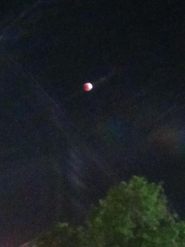 8a663463-0fb9-48b4-8a8e-5ceb1fc91e82