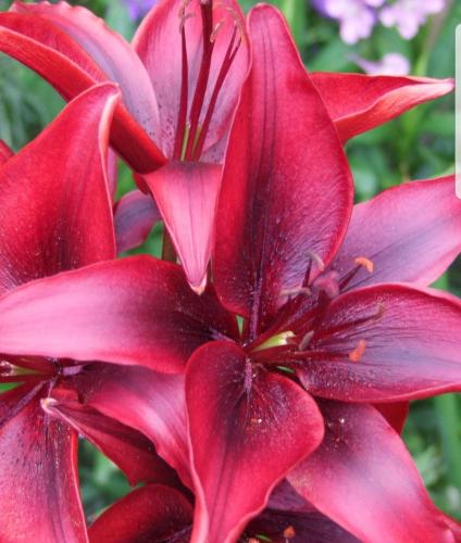 e7346838-ddb5-4327-9058-38d82a824d47