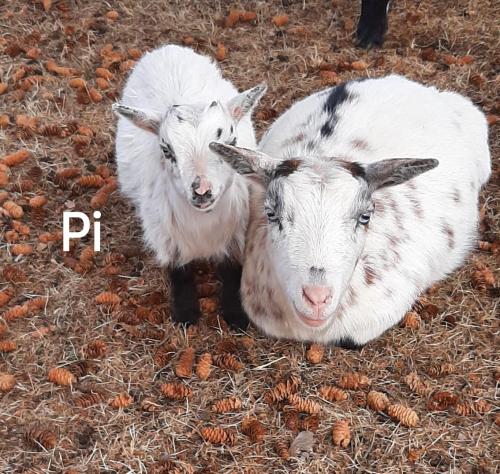 9c7d8e03-bb7b-43b5-8960-313348c95378