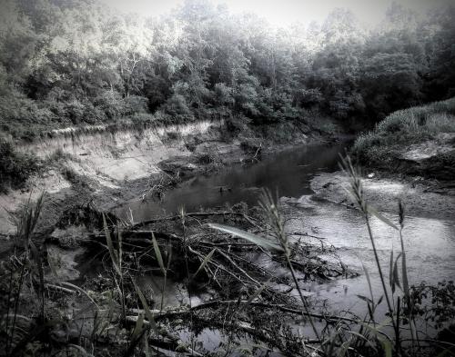 5a50edee-b543-44f4-9978-940a4bc25175