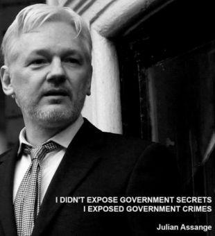 julian assange18