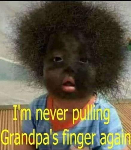 3553cba3-e844-4630-b437-3160791abb19