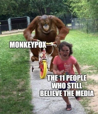 monkeypox14