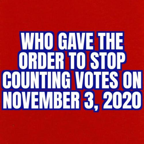 who_gave_order_to_stop_2020_vote