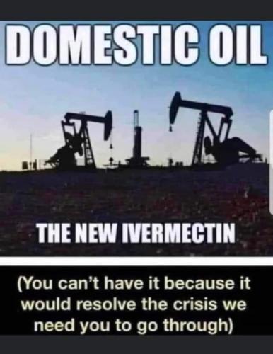 FB_IMG_1653238709734