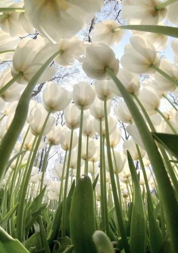 tumblr_33a3d90b4e75bf1b9e2c86b108ead68c_699c7bfc_540