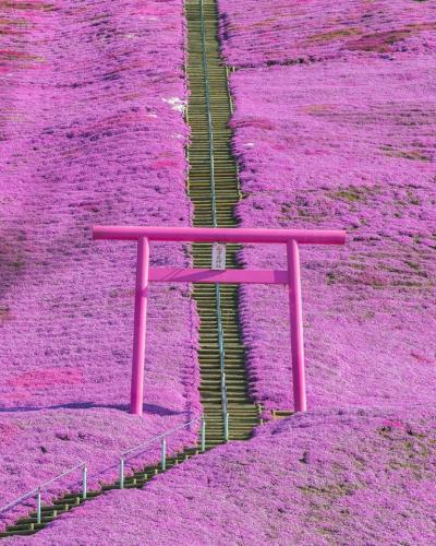 280716195_4846313845478534_3496179545260892034_n