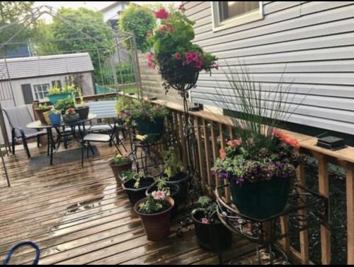 53E4B365-75D8-40E1-BE9A-C5F6D010BD25