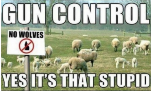 Gun Control 1