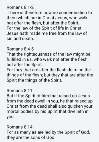 e92d5cf5-8870-4883-8b04-1c050d513e00