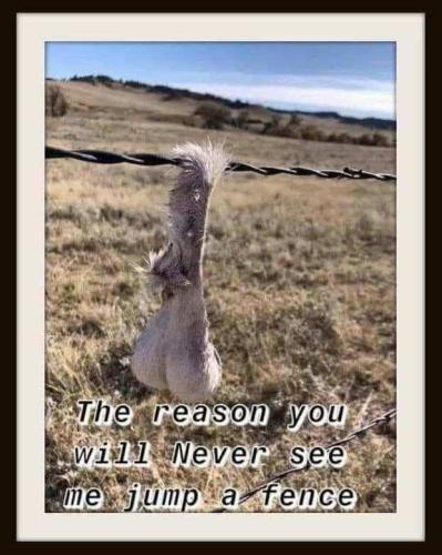 d5145c92-589b-45e6-ab3e-c4a3e1990972