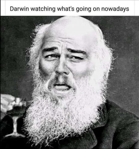 2b0dd06e-988f-4aae-be0d-512b3b47504a