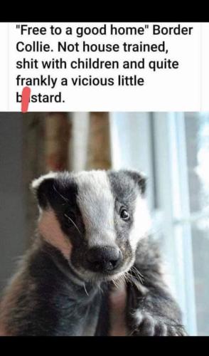 FB_IMG_1653664498053
