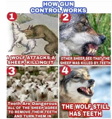 captures_chrome-capture-2022-4-30 (1)