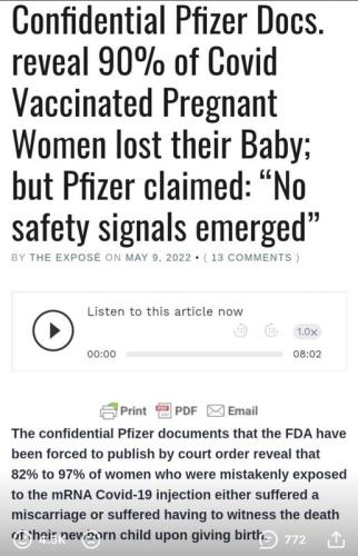 Pfizer pregnancy