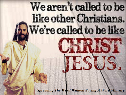 278156379_514505100403930_5172990970087519887_n