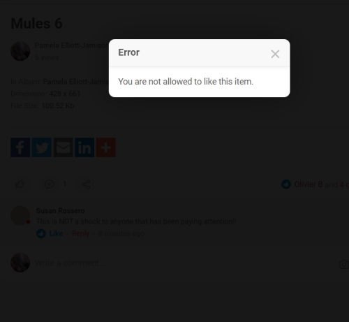 Screenshot 2022-05-14 144439
