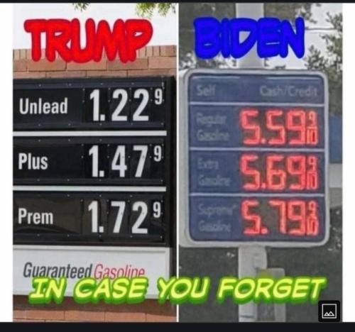 e2481d9f-5261-4a7d-b2ae-3dfaa0f85233