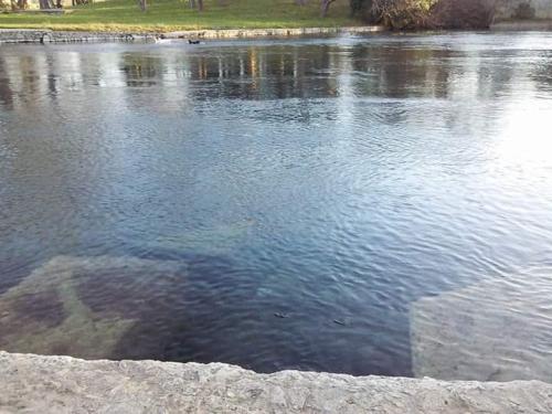 e0c983ce-9980-44aa-9214-c24582005f63