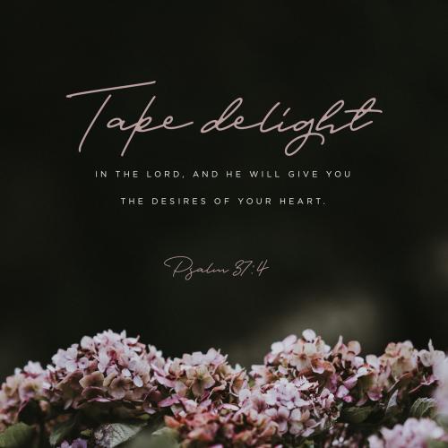 07:33:23 GMT-0400 (EDT)