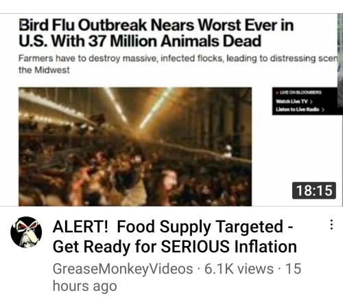 Screenshot_2022-05-12-08-16-04-983_com.google.android.youtube~2